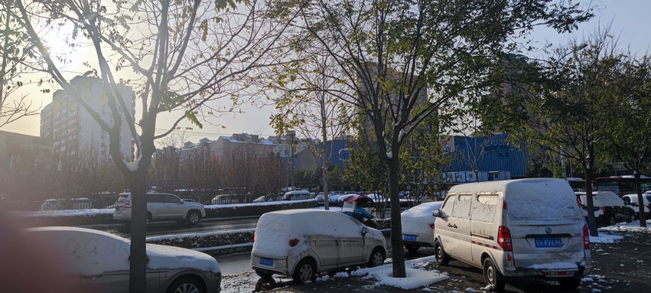 叶子还没来得及掉，就下雪了